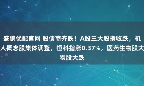 盛鹏优配官网 股债商齐跌！A股三大股指收跌，机器人概念股集体调整，恒科指涨0.37%，医药生物股大跌