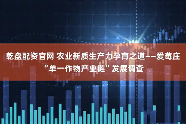 乾盘配资官网 农业新质生产力孕育之道——爱莓庄“单一作物产业链”发展调查