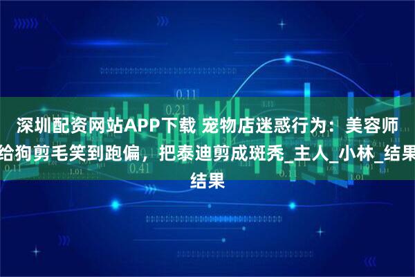 深圳配资网站APP下载 宠物店迷惑行为：美容师给狗剪毛笑到跑偏，把泰迪剪成斑秃_主人_小林_结果