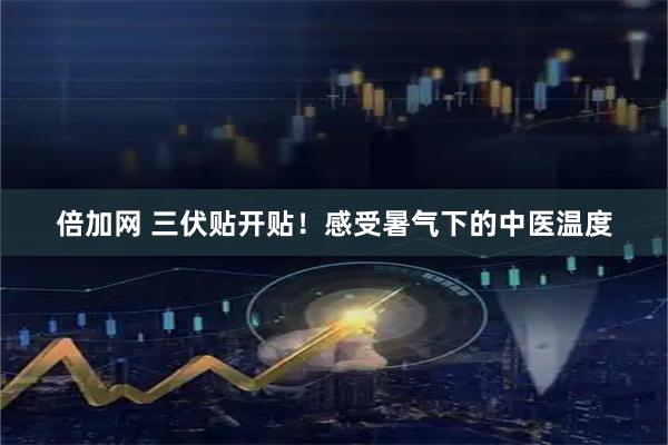 倍加网 三伏贴开贴！感受暑气下的中医温度