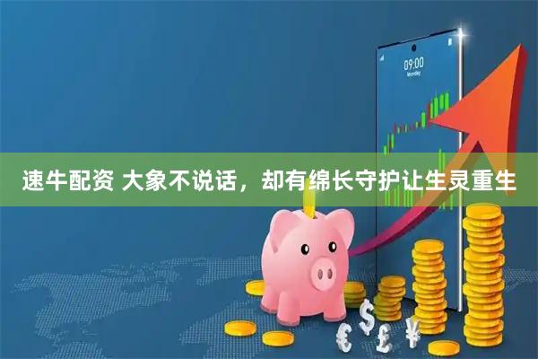 速牛配资 大象不说话，却有绵长守护让生灵重生
